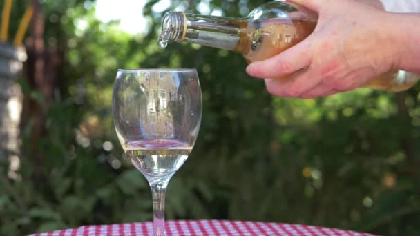 Verter una copa de vino blanco en el jardín — Vídeo de stock