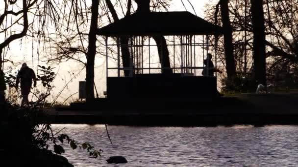 Public park at dusk with people in silhouette enjoying relaxing winter walk — Stock Video