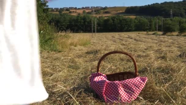 Vrouw met picknickmand en rode gingham deken — Stockvideo