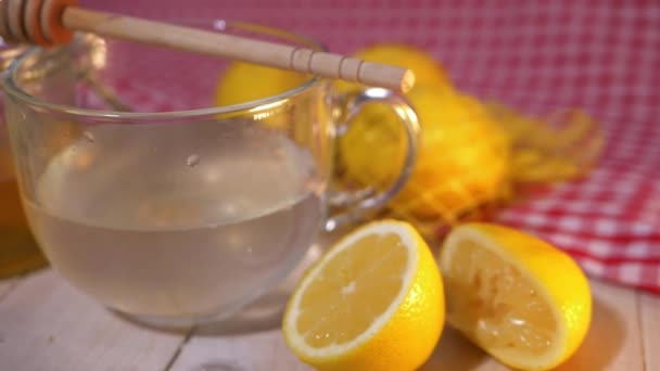 Ingredienser för hemlagad lemonad dryck — Stockvideo