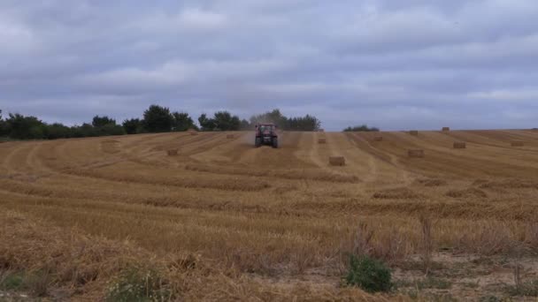 Farmers field with tractor in the distance — стоковое видео