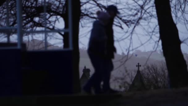Пара гуляє парком в сутінках в силуеті, насолоджуючись спокійною зимовою прогулянкою — стокове відео