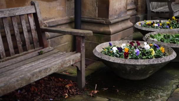 꽃을 심은 오래 된 나무 의자 가 교회 마당에 있다 — 비디오