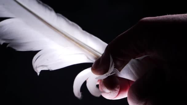 Hands hold a symbolic angel feather on dark background — Stockvideo