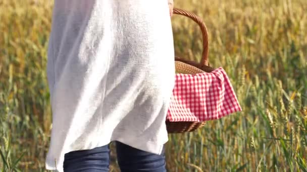 Woman walks through wheat field with picnic basket — Vídeo de stock