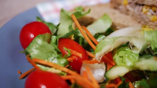 Tonfisk och sockermajs smörgås med hälsosam sallad — Stockvideo