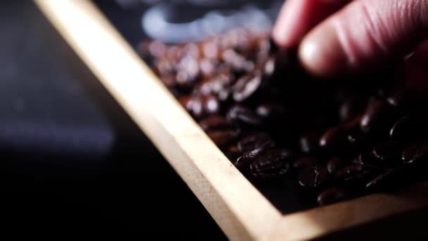 Руки баристы играют со свежими кофейными зёрнами — стоковое видео