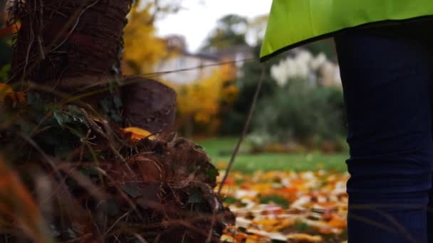 Asistente de parque público en el parque en otoño — Vídeo de stock