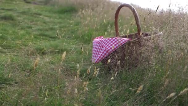 Vintage picnic basket and red gingham blanket shot in rural field — Video Stock