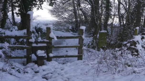 Stil på åkermark på vintern efter snöfall — Stockvideo