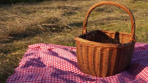 Cesta de picnic y tela de jengibre roja en el campo — Vídeo de stock