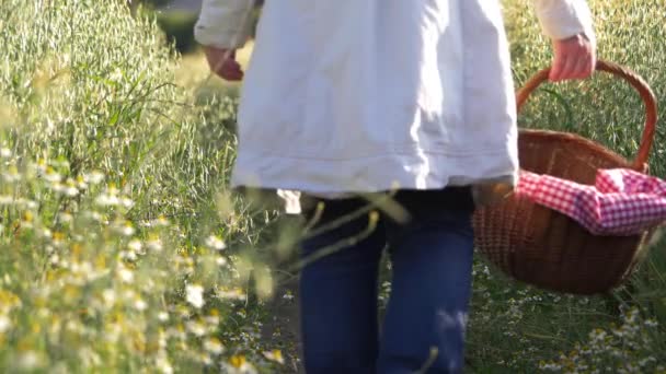 Woman with picnic basket walks through field on summer day — Stock Video