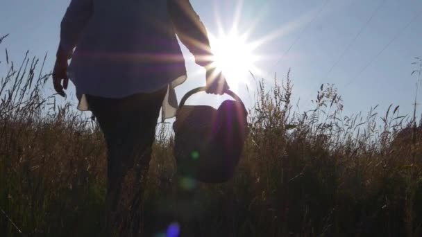 Vrouw met picknickmand in warme zon — Stockvideo