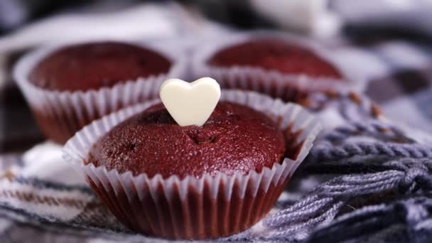 Chocolate cupcakes ready for decorating — Stock Video