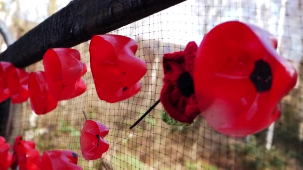 Rode papavers hangen aan een hek in oorlogsmonument — Stockvideo
