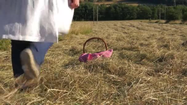 Woman with picnic basket and red gingham blanket — Stock Video