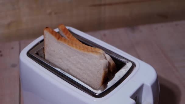 Plátky bílého chleba v kuchyňském toustovači — Stock video