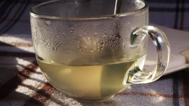 Fazer uma bebida quente de limão e mel para remédio frio natural — Vídeo de Stock