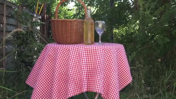 庭のピクニックテーブルと白ワインレッドギンガムカバーワイドドリーショット選択的フォーカス — ストック動画