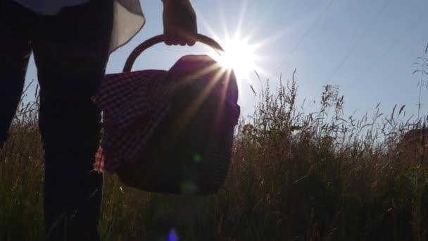 Vrouw met picknickmand in warme zon — Stockvideo