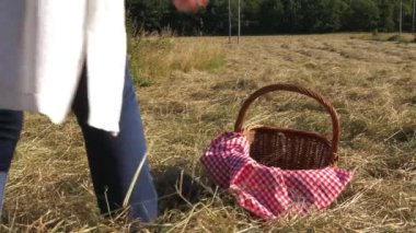 Piknik sepeti ve kırmızı pamuklu battaniyeli kadın. 
