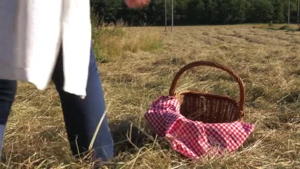 Mujer con cesta de picnic y manta de gingham rojo — Vídeo de stock
