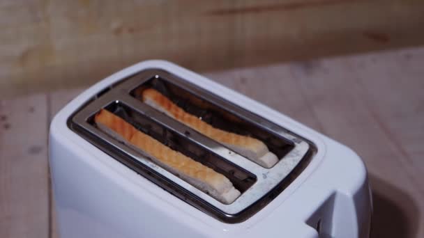 Rebanadas de pan tostado en una tostadora — Vídeos de Stock