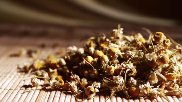 Flores de manzanilla secas remedio herbal para el insomnio — Vídeo de stock