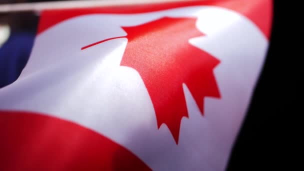 Auktoritär knytnäve genom kanadensisk flagg — Stockvideo
