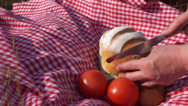 Kvinna förbereder en picknick bröd och tomater — Stockvideo