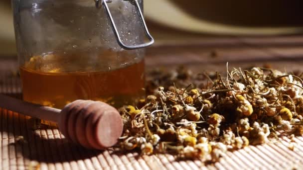 Flores secas de camomila e mel — Vídeo de Stock