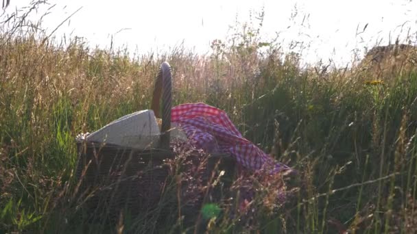 Panier pique-nique vintage et chapeau de paille dans la prairie — Video