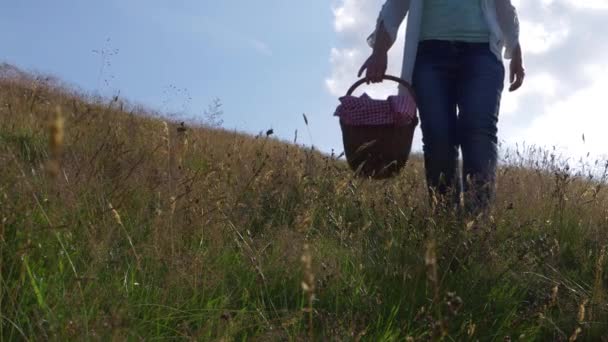 Mulher com cesta de piquenique em sol quente — Vídeo de Stock
