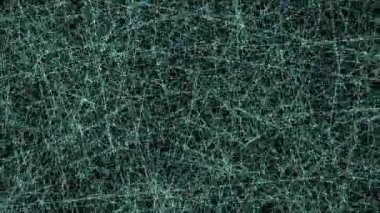 Siyah arkaplanda parazit statik çizgileri