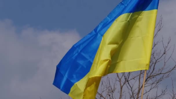Ucrânia amarelo e azul bandeira sopra no vento contra o céu — Vídeo de Stock