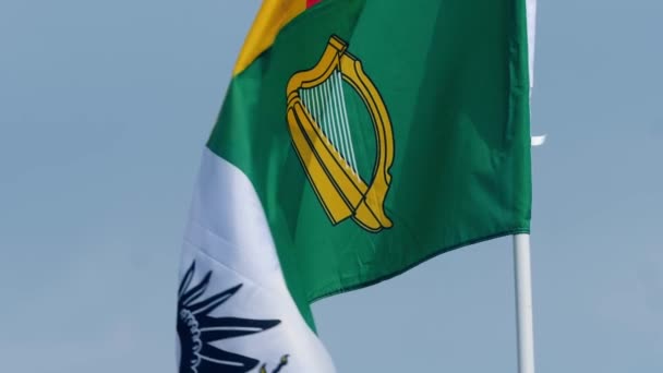 Bandeira irlandesa com emblema de harpa sopra no vento — Vídeo de Stock