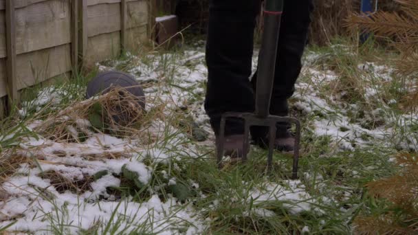 雪が降った後に冬の庭を掘る庭師 — ストック動画