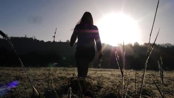 Vrouw maakt ochtendwandeling op ijzige dag op het platteland scene — Stockvideo