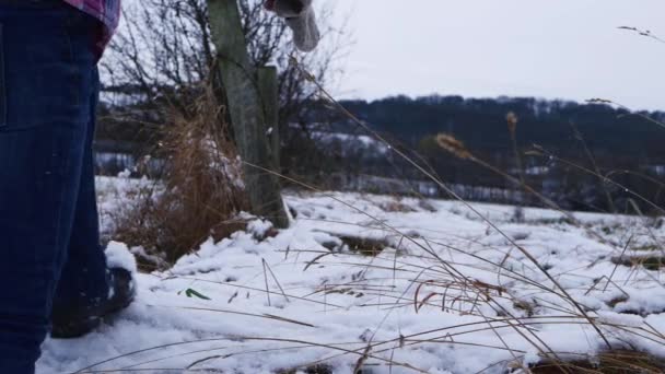 Femme marche à travers le paysage enneigé — Video