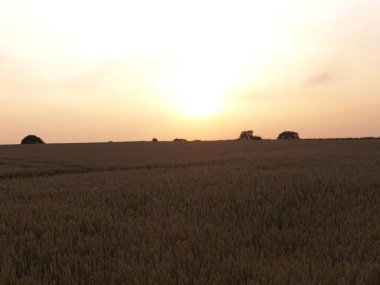 Güneş, alacakaranlık karanlığında çiftçi tarlasında batıyor. 