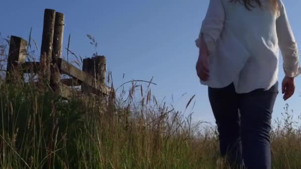 Kobieta przechadzająca się przez farmę wysoka trawa w letni wiatr — Wideo stockowe