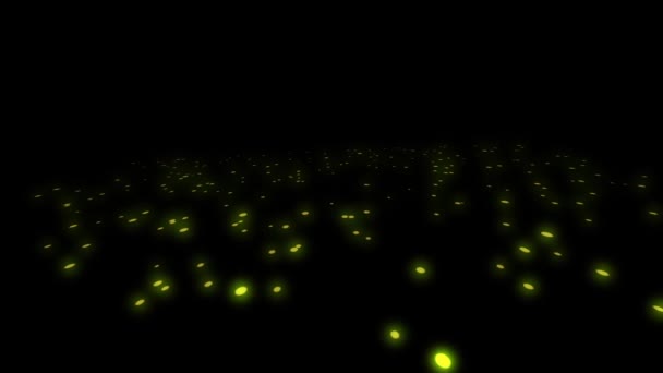 Esferas de luz amarilla contra animación del cielo negro — Vídeos de Stock