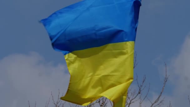 Η κίτρινη και μπλε σημαία της Ουκρανίας φυσά στον άνεμο ενάντια στον ουρανό — Αρχείο Βίντεο
