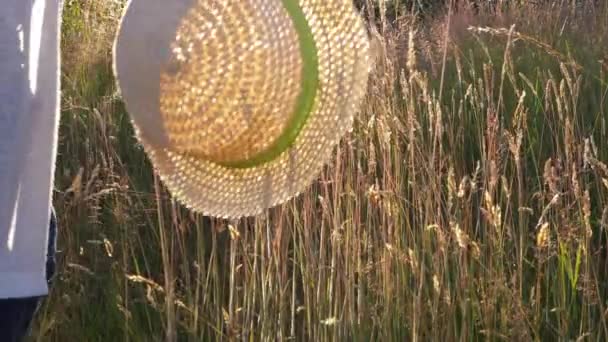 Mujer con sombrero de paja en el campo de verano soleado prado — Vídeo de stock