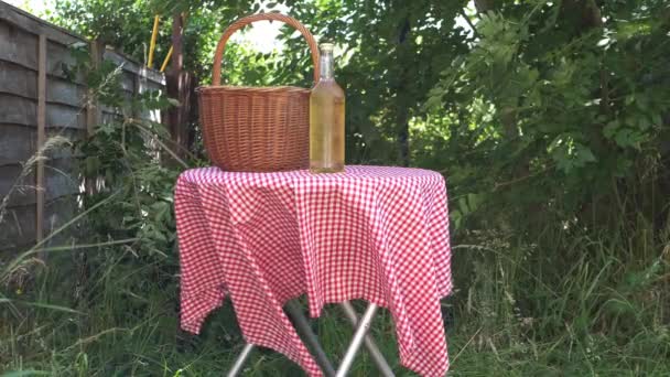 Picnic table and white wine in the garden with red gingham cover — Stock Video