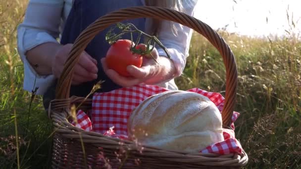 Mulher prepara campo com pão fresco e tomate — Vídeo de Stock
