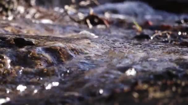 자갈 위를 흐르는 자연의 흐름 — 비디오
