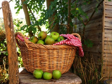 Kırsal bir sahnede bir sepet taze pişmiş elma.