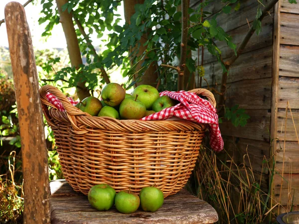 Kırsal bir sahnede bir sepet taze pişmiş elma.