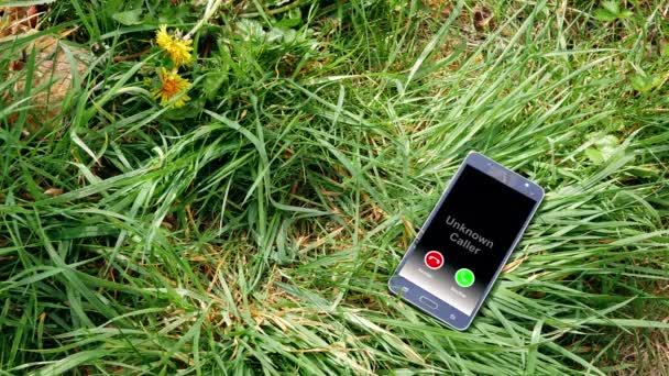 A fűben hagyott mobiltelefon bejövő hívásbejelentéssel — Stock videók